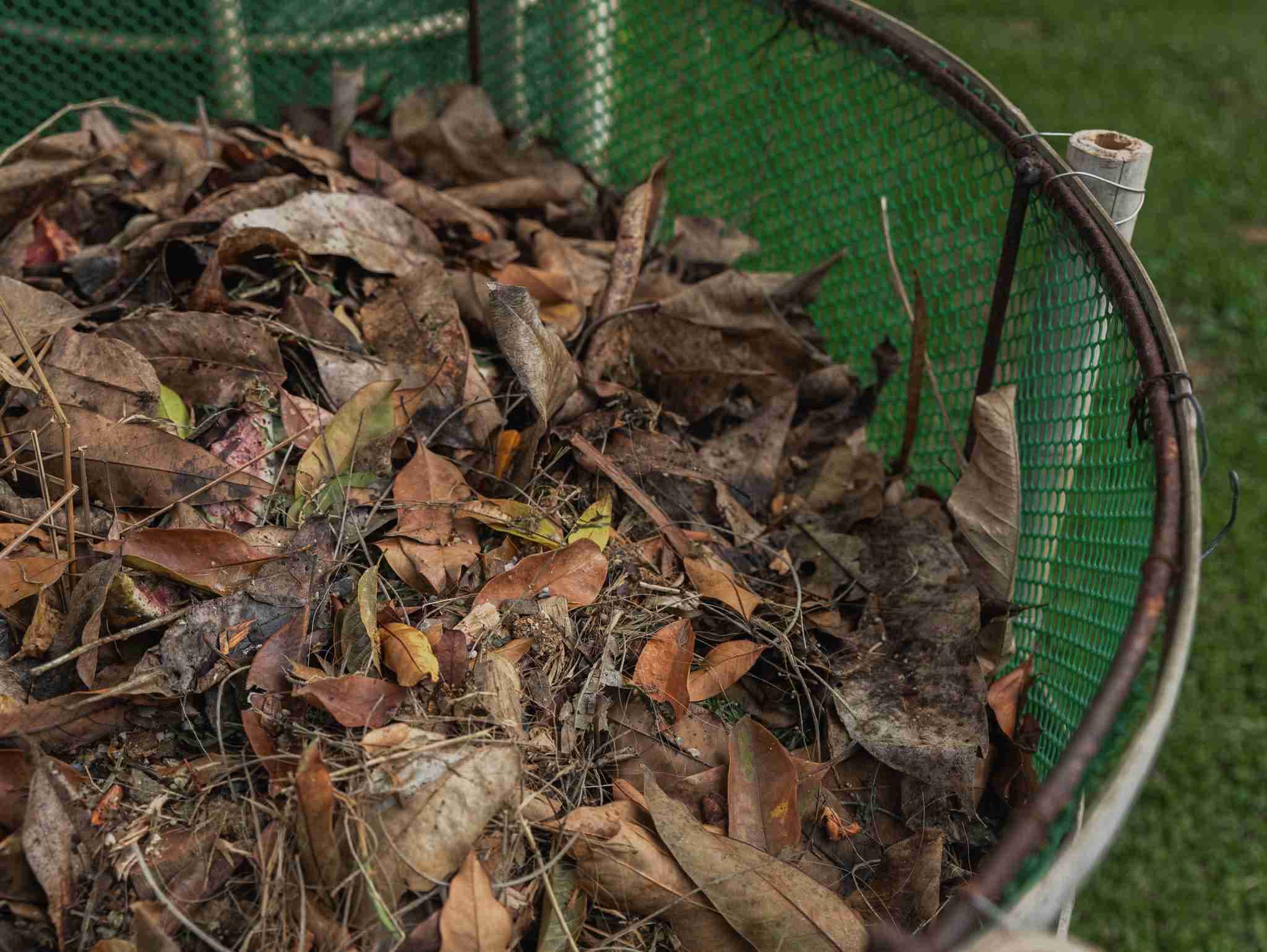 Nature’s Fertilizer